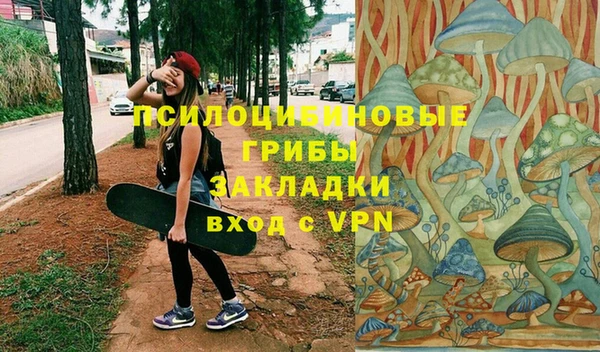ПСИЛОЦИБИНОВЫЕ ГРИБЫ Алексеевка