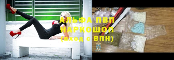 гашик Алзамай