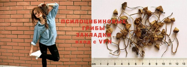 jwh Ладушкин